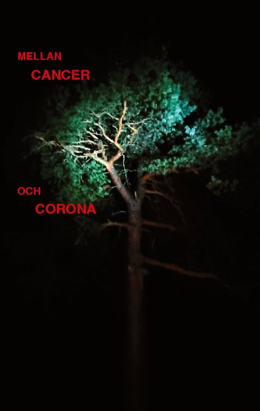 Anita Börlin : Mellan cancer och corona