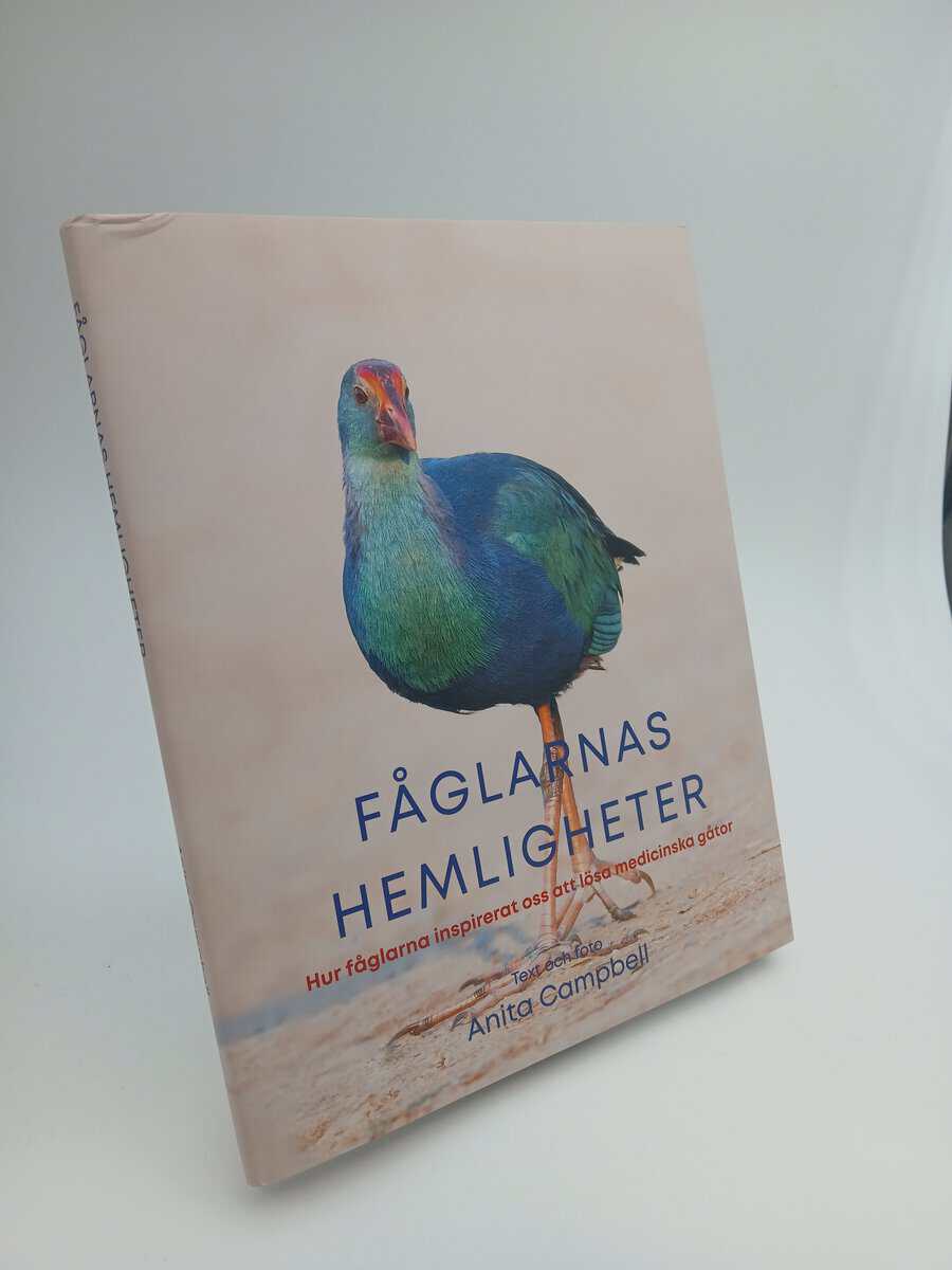 Anita Campbell : Fåglarnas hemligheter