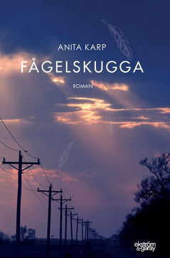 Anita Karp : Fågelskugga
