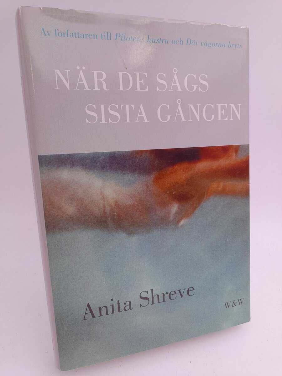 Anita Shreve : När de sågs sista gången