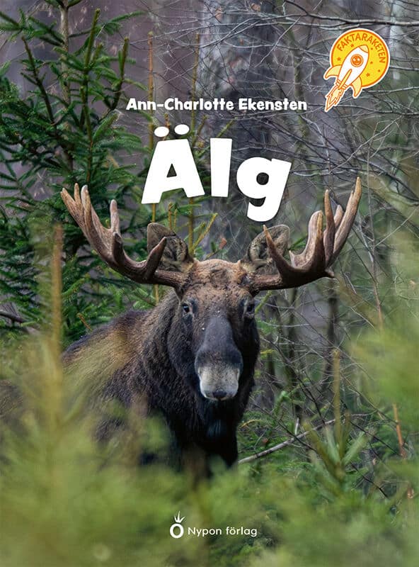 Ann-Charlotte Ekensten : Älg