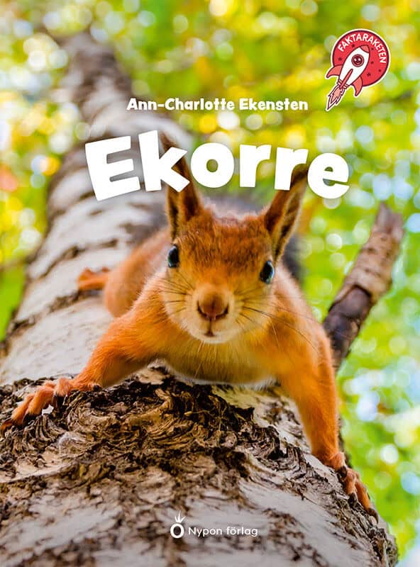 Ann-Charlotte Ekensten : Ekorre