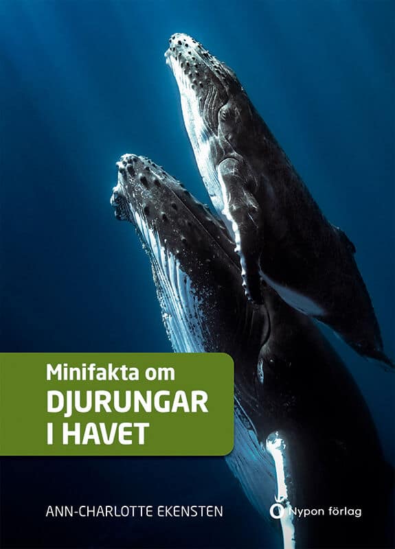 Ann-Charlotte Ekensten : Minifakta om djurungar i havet