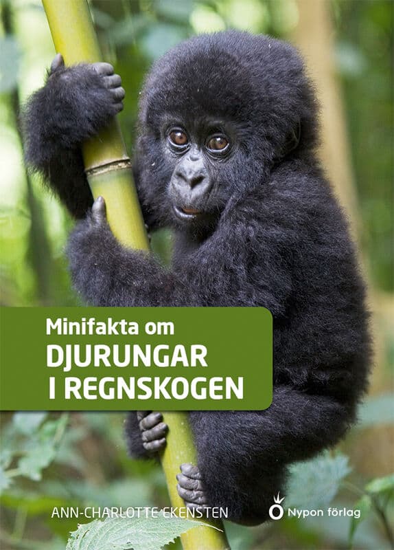 Ann-Charlotte Ekensten : Minifakta om djurungar i regnskogen