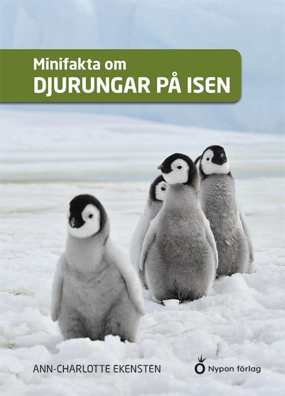 Ann-Charlotte Ekensten : Minifakta om djurungar på isen