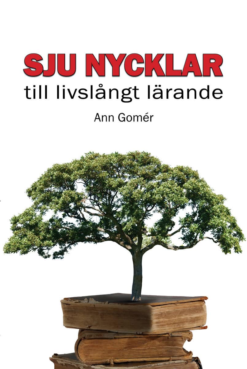 Ann Gomér : Sju nycklar till livslångt lärande
