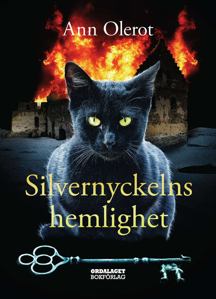 Ann Olerot : Silvernyckelns hemlighet