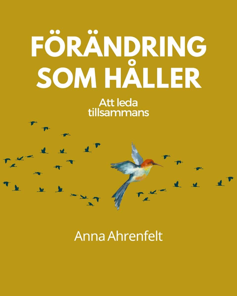 Anna Ahrenfelt : Förändring som håller