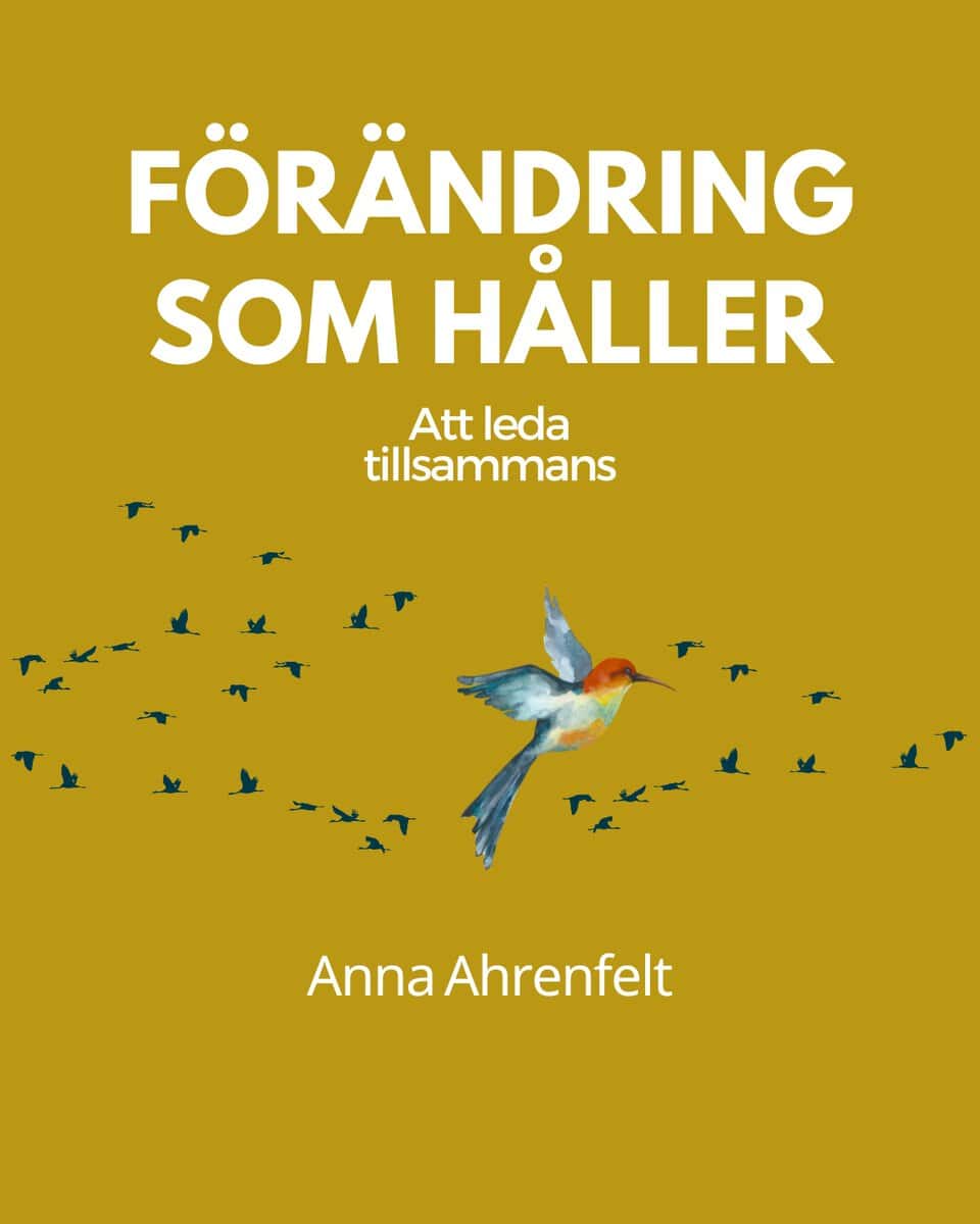 Anna Ahrenfelt : Förändring som håller