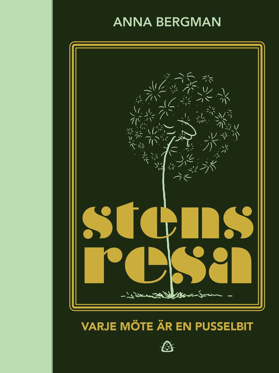 Anna Bergman : Stens resa : varje möte är en pusselbit