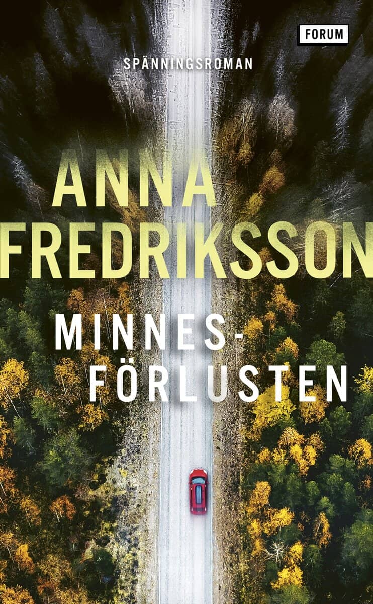Anna Fredriksson : Minnesförlusten