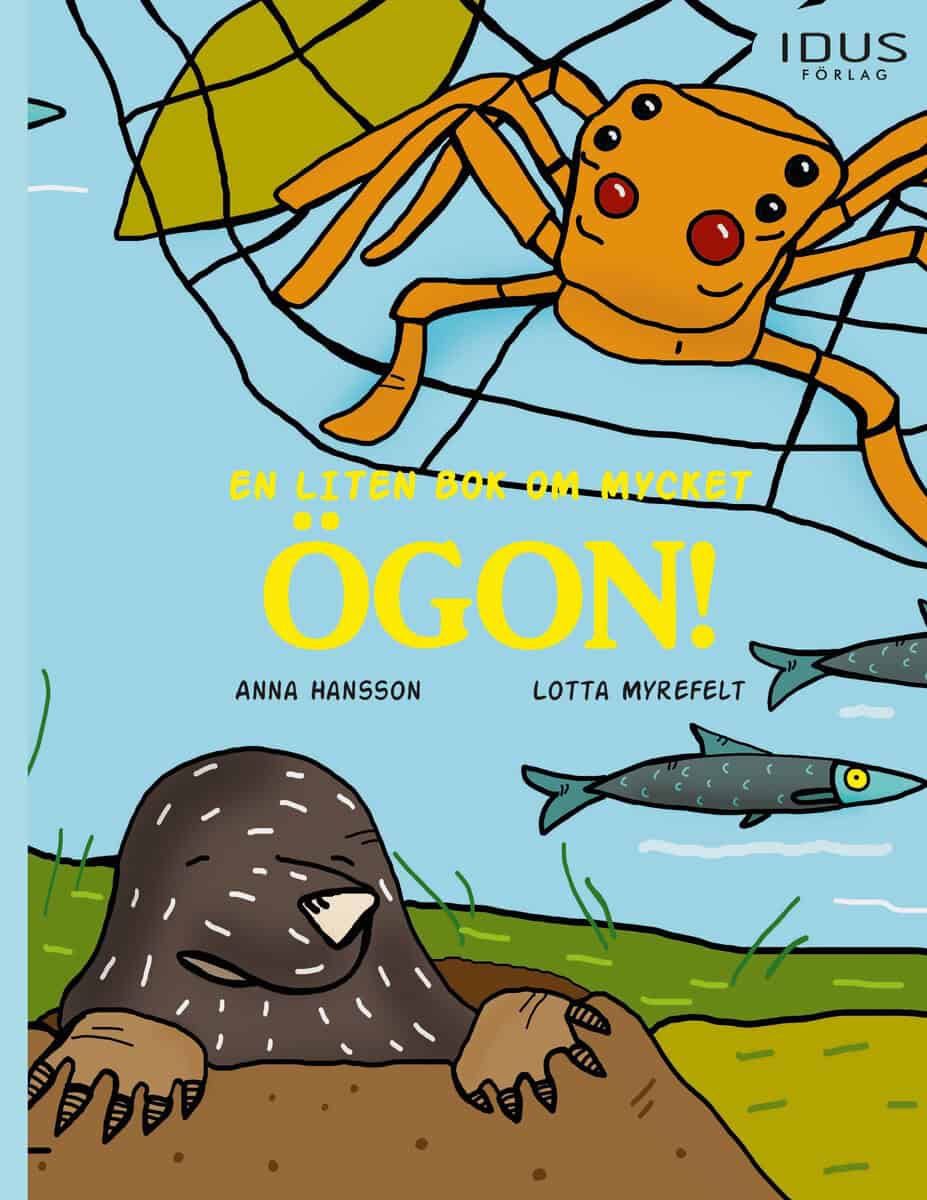 Anna Hansson : En liten bok om mycket ögon!