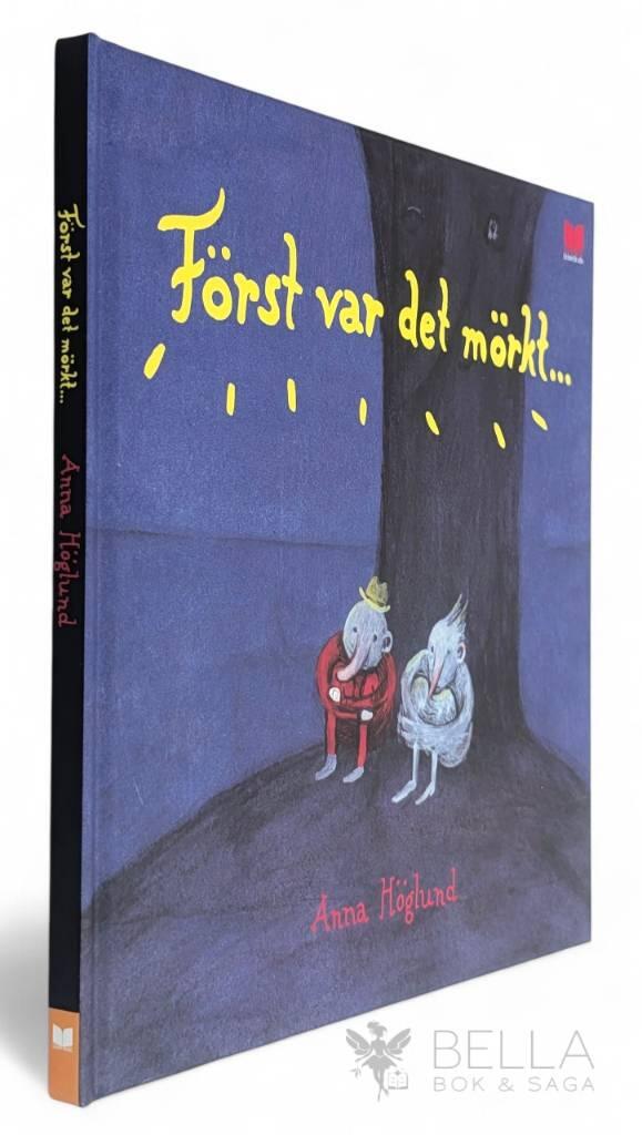 Anna Höglund : Först var det mörkt...