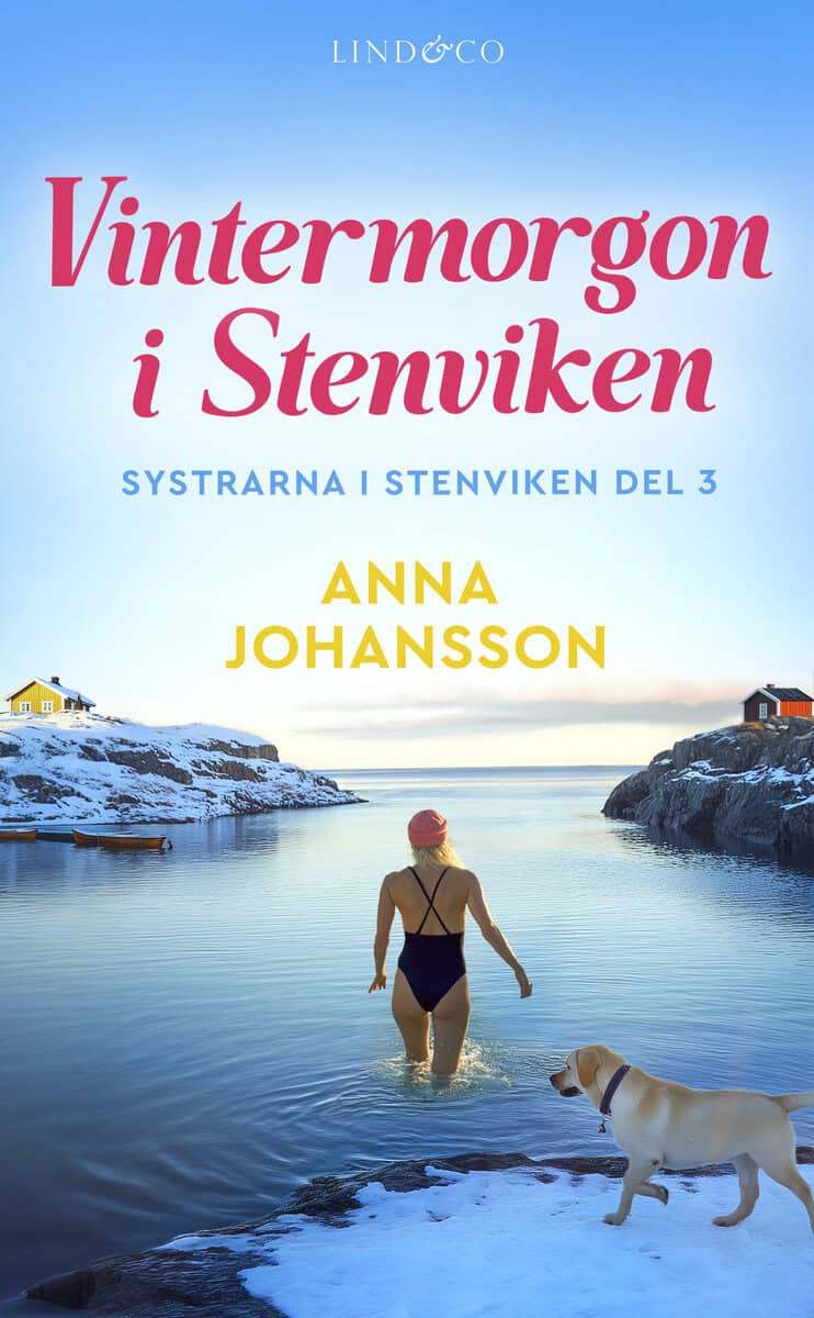 Anna Johansson : Vintermorgon i Stenviken
