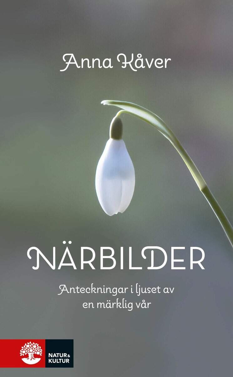 Anna Kåver : Närbilder : Anteckningar i ljuset av en märklig vår