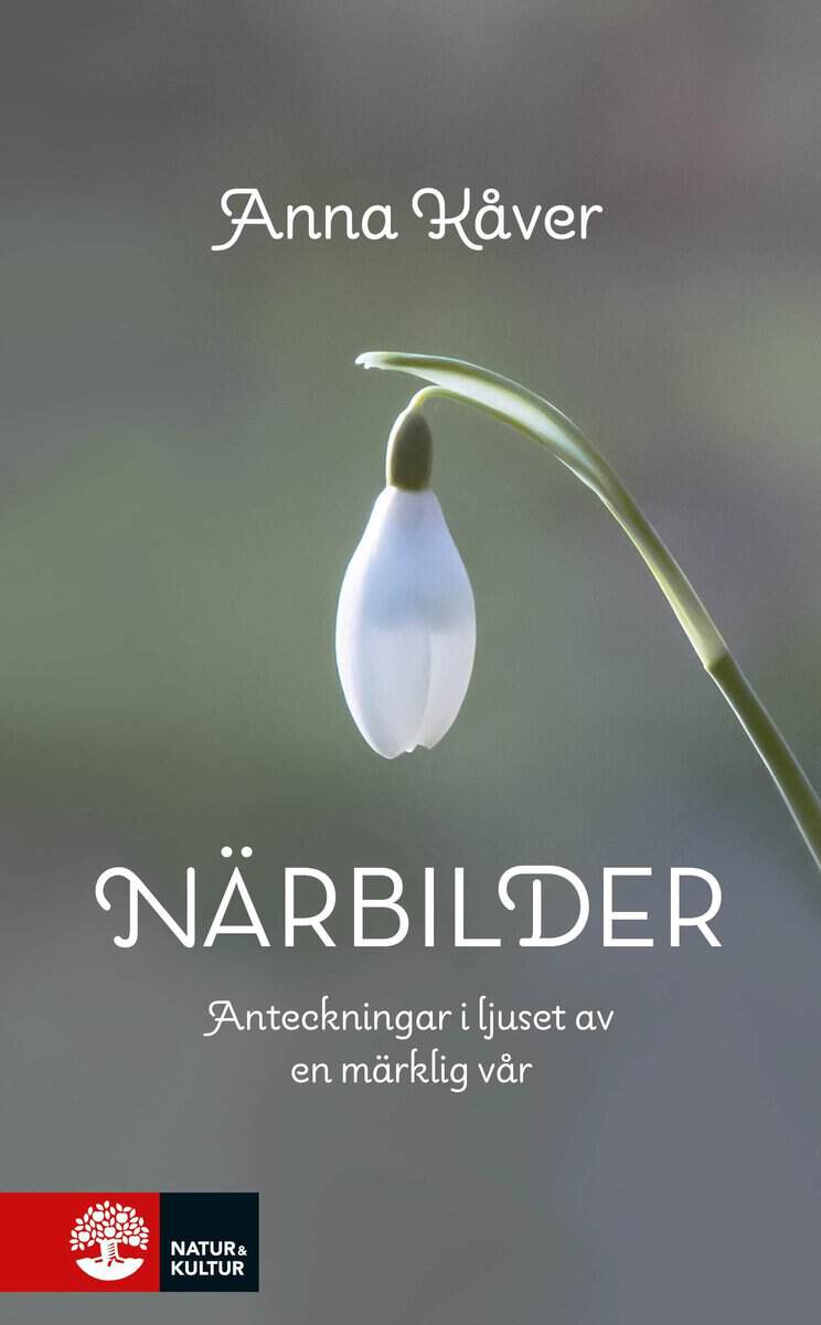 Anna Kåver : Närbilder : Anteckningar i ljuset av en märklig vår