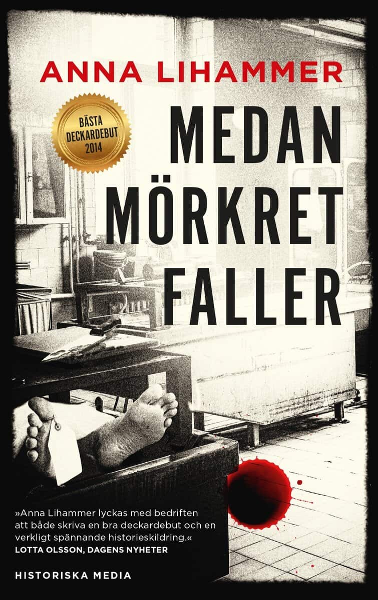 Anna Lihammer : Medan mörkret faller