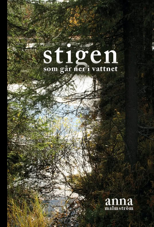 Anna Malmström : Stigen som går ner i vattnet
