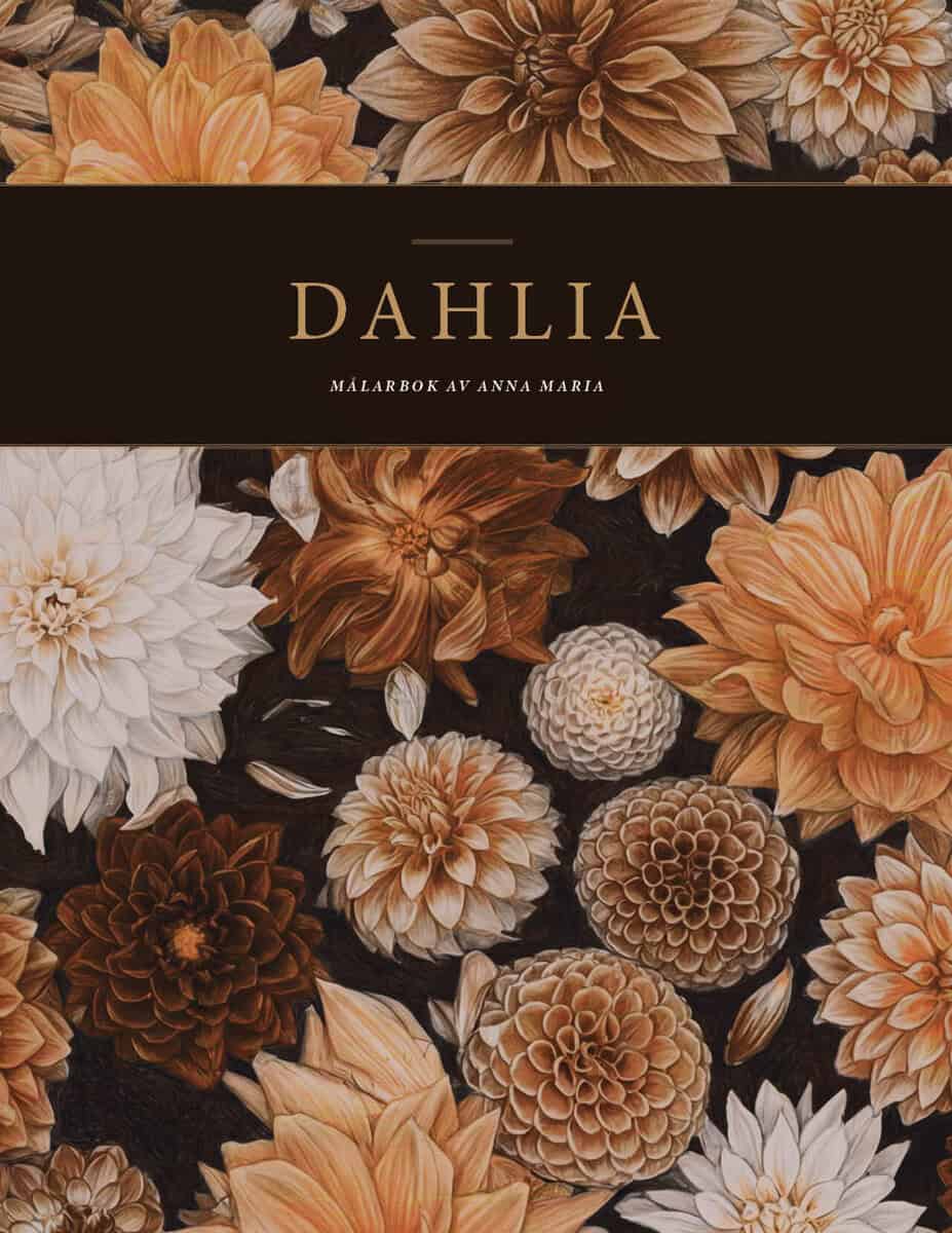 Anna Maria Setterby Angefred : Dahlia nature's wonder