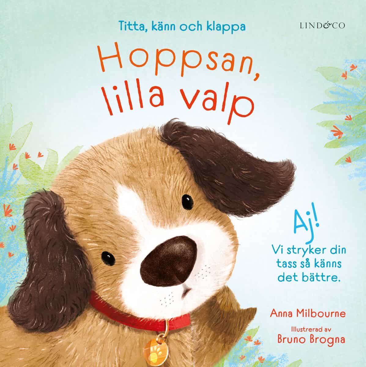 Anna Milbourne : Hoppsan, lilla valp : titta, känn och klappa
