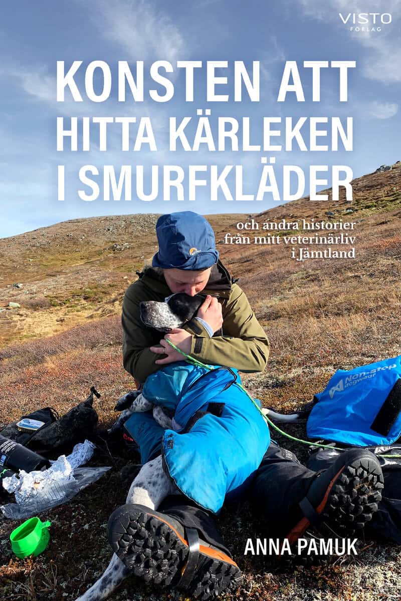 Anna Pamuk : Konsten att hitta kärleken i smurfkläder