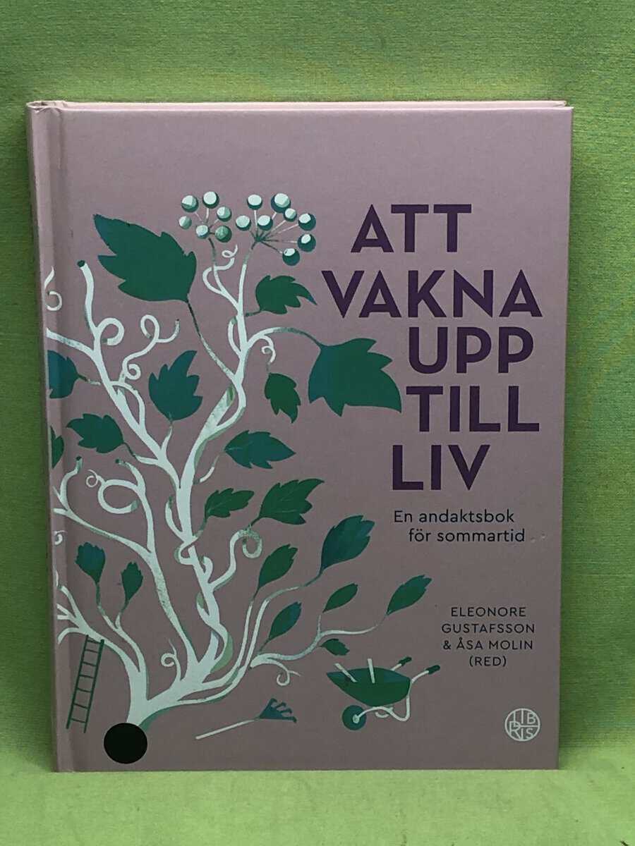 AnnaCarin Abrahamsson : Att vakna upp till liv