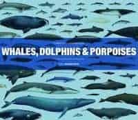 Annalisa Berta : Whales, dolphins and porpoises - a natural history and species guide