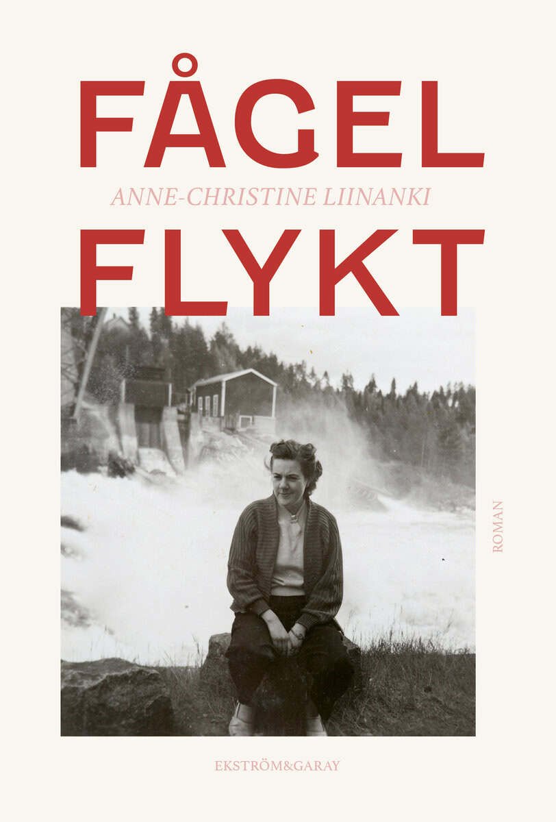 Anne-Christine Liinanki : Fågelflykt