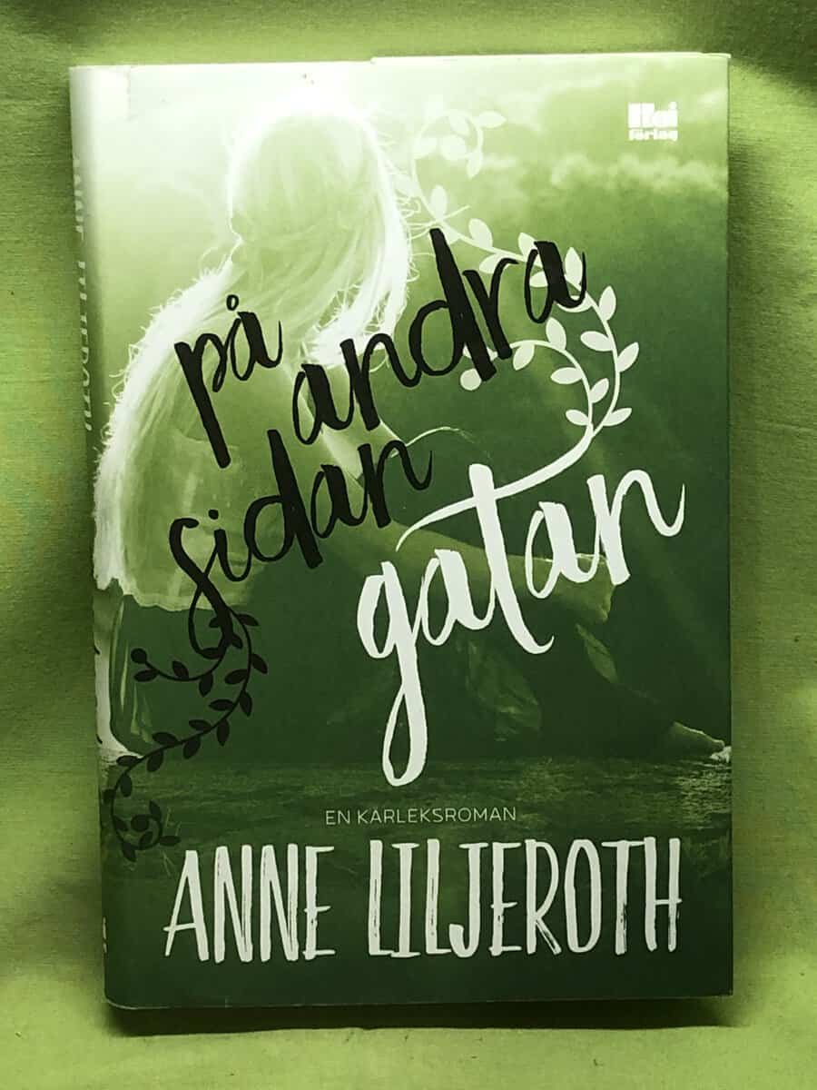Anne Liljeroth : På andra sidan gatan