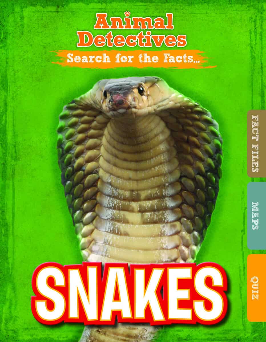 Anne O'Daly : Snakes