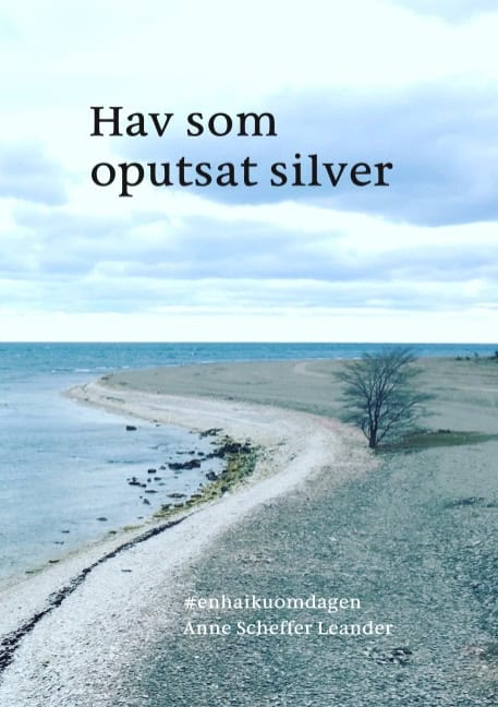 Anne Scheffer Leander : Hav som oputsat silver