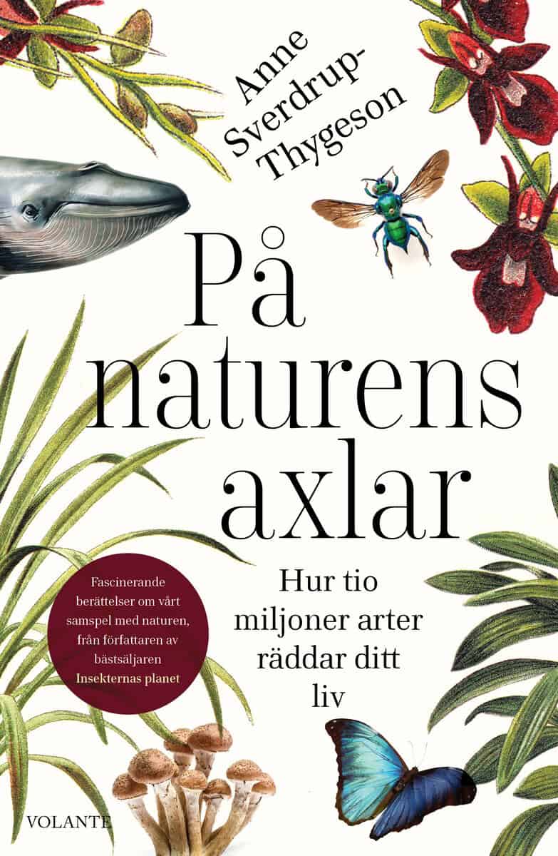 Anne Sverdrup-Thygeson : På naturens axlar : hur tio miljoner arter räddar ditt liv