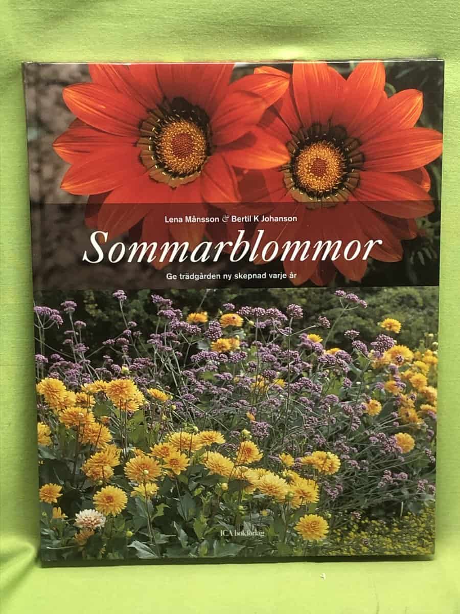 Anneli Furmark : Jamen förlåt då