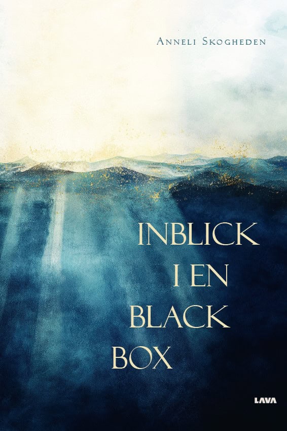 Anneli Skogheden : Inblick i en black box