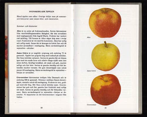 Annerstedt-Heino, Katarina ; Lindvall, Gunvor : Fruktboken