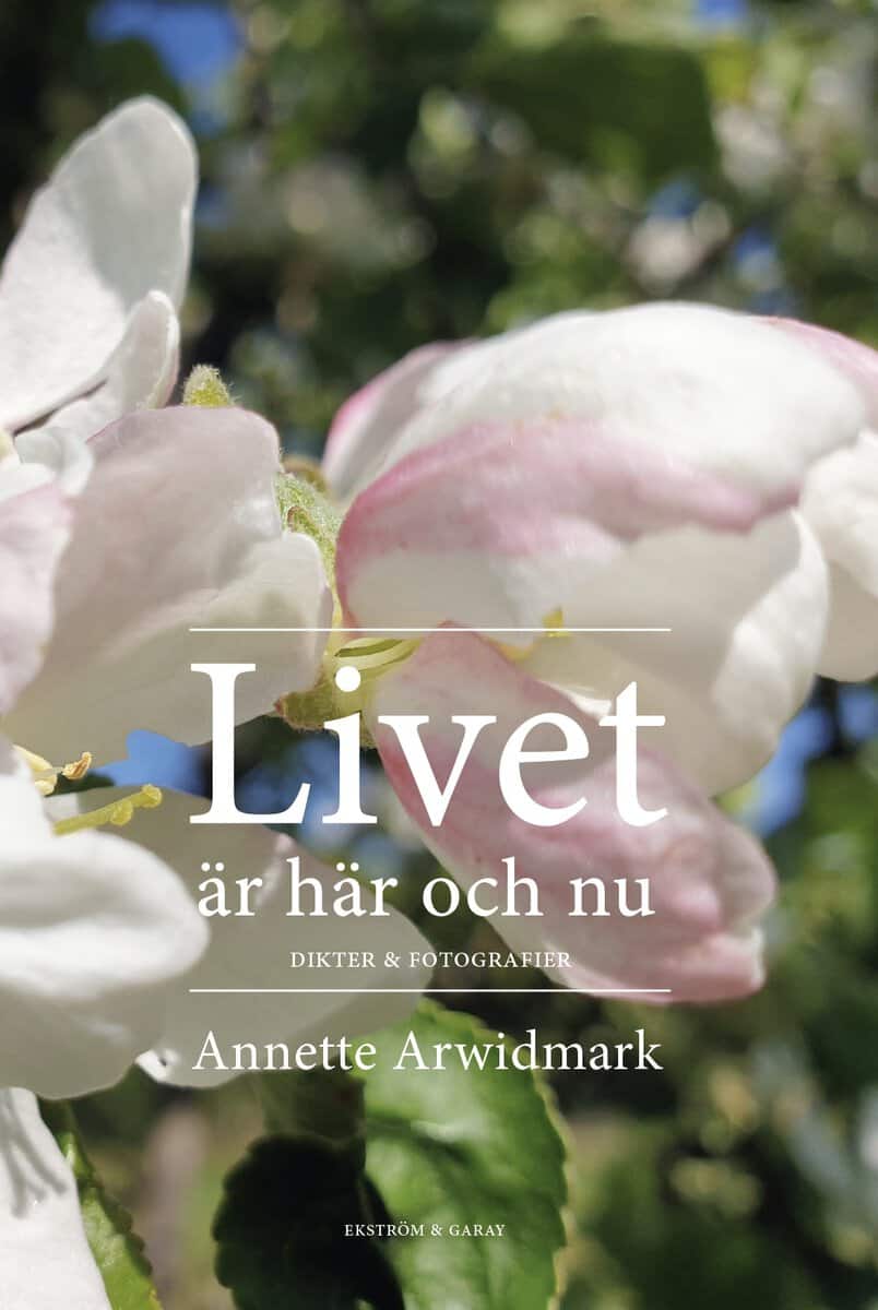 Annette Arwidmark : Livet: är här och nu