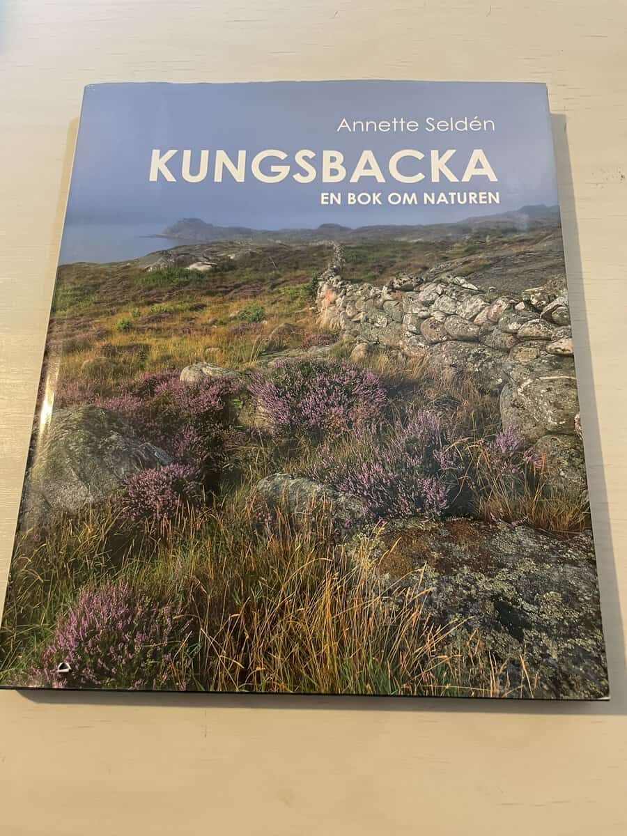 Annette Seldén : Kungsbacka
