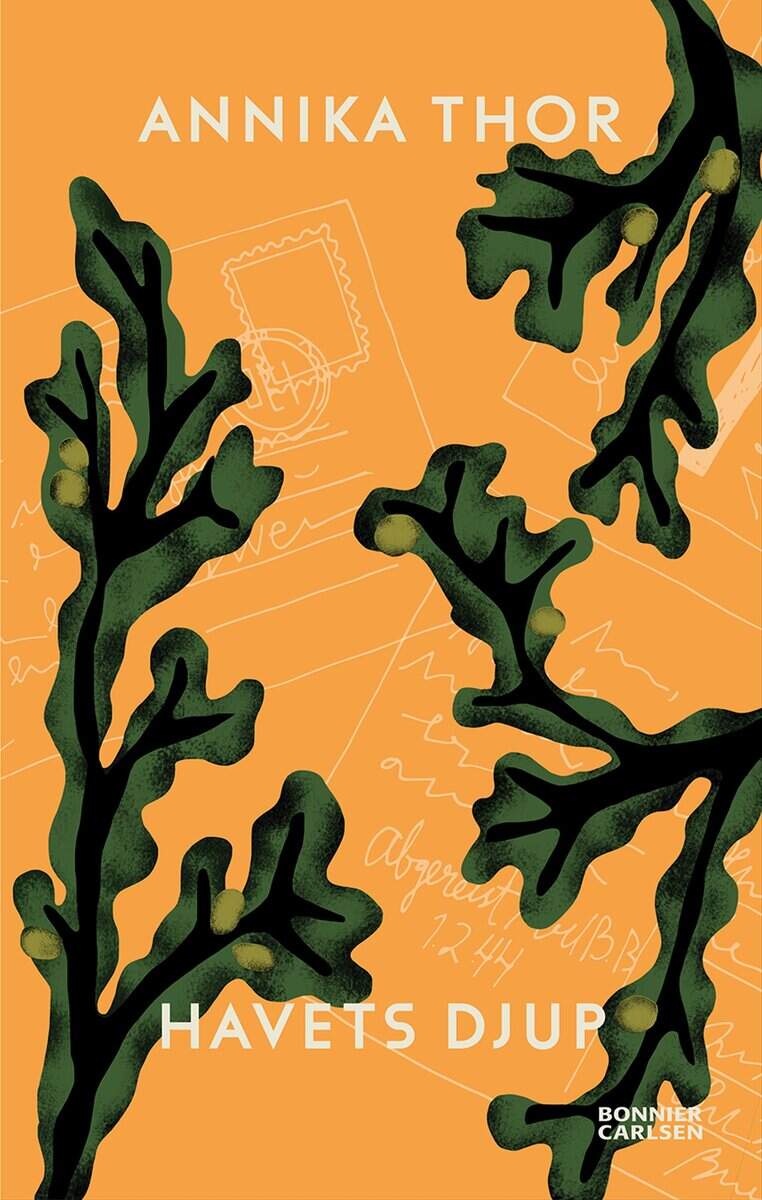 Annika Thor : Havets djup