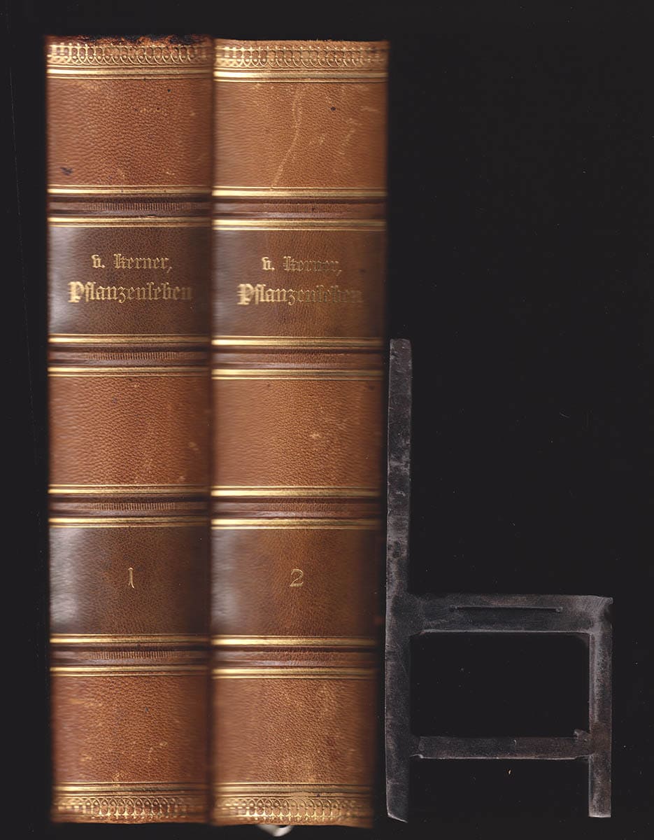 Anton Kerner von Marilaun : Pflanzenleben (Växtliv). Band. I. Gestalt und Leben der Pflanze. Band II. Die Geschichte der Pflanzen (komplett)