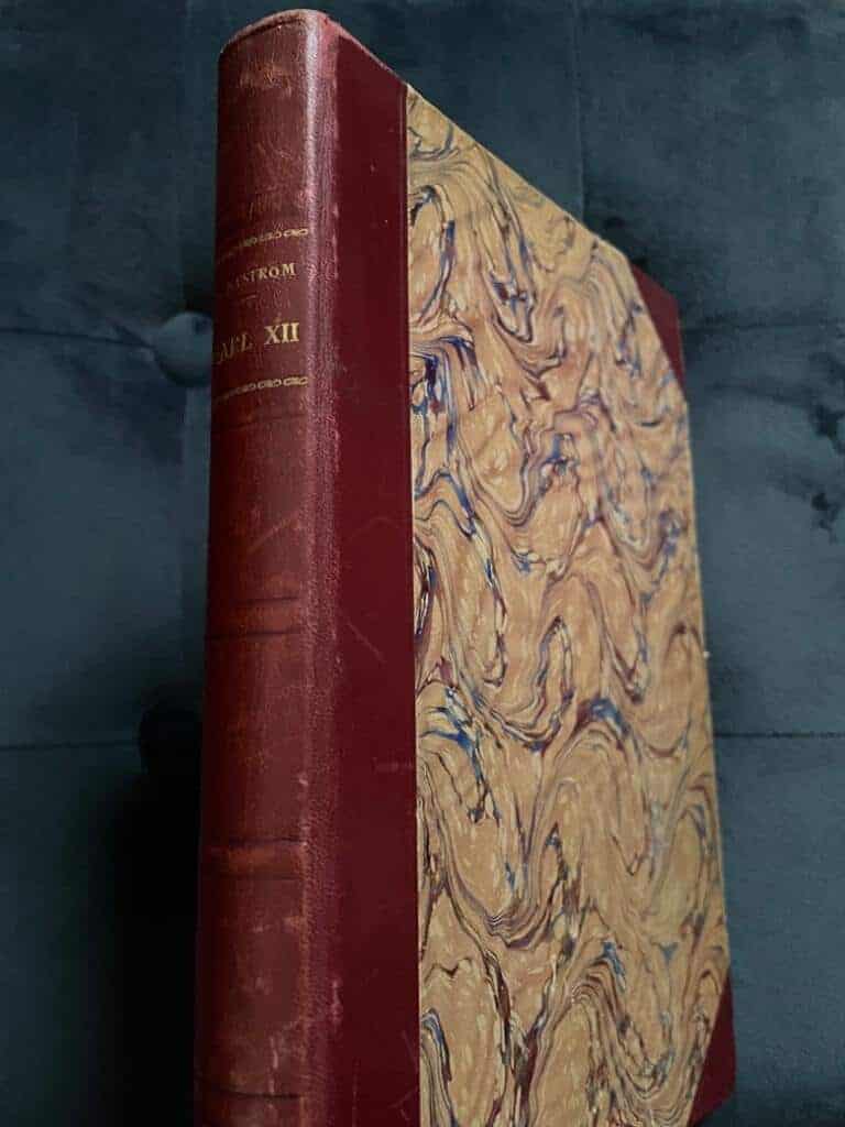 Anton Nyström : Karl XII och sammansvärjningen mot hans envälde och liv.