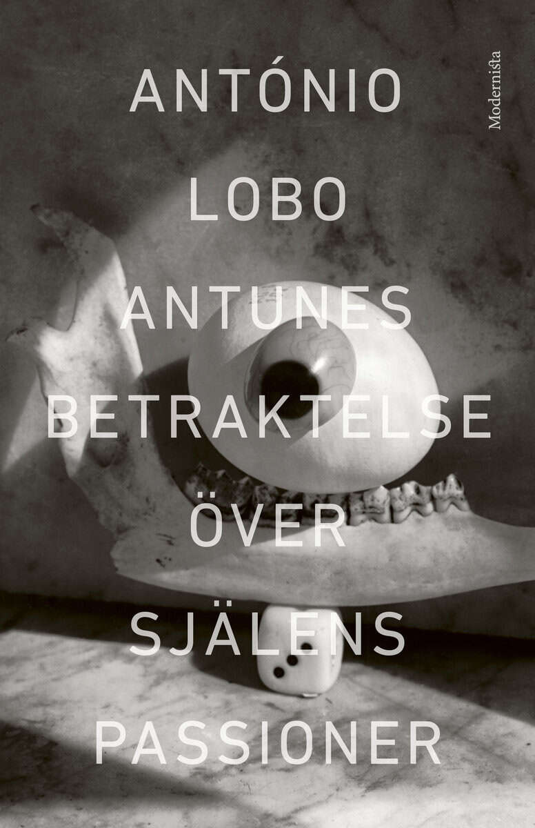 António Lobo Antunes : Betraktelse över själens passioner