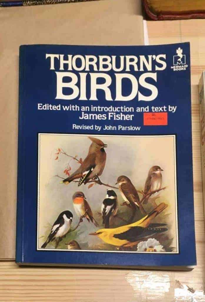 Archibald Thorburn : Thorburn's birds