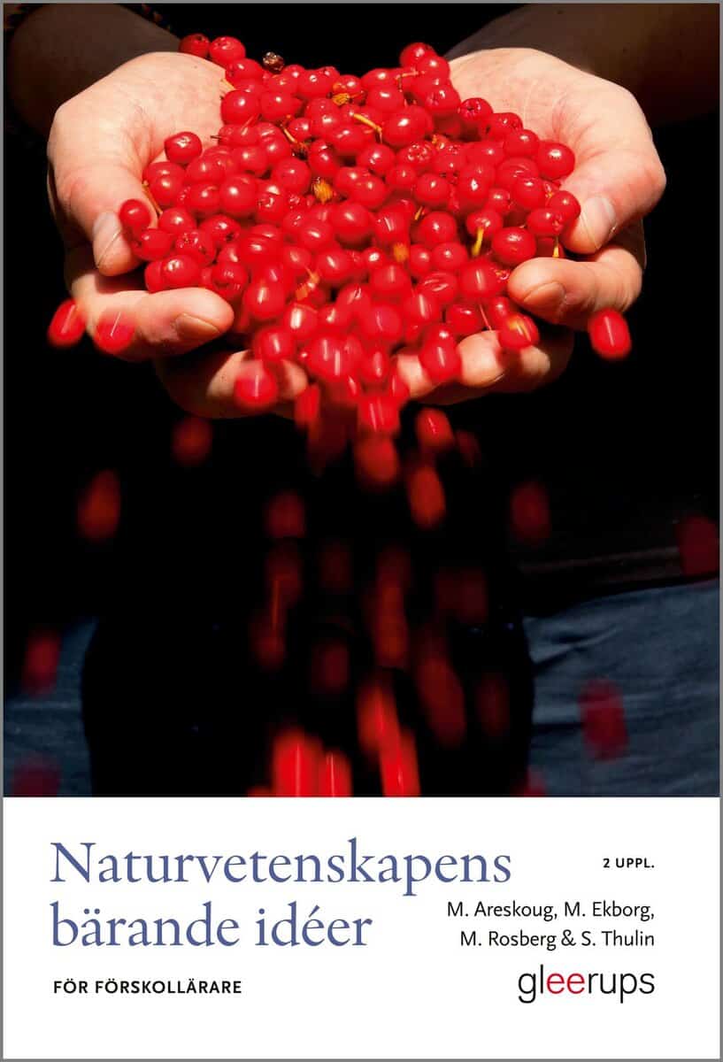 Areskoug, Mats ; Ekborg, Margareta ; Rosberg, Maria ; Thulin, Susanne : Naturvetenskapens bärande idéer för förskollärare