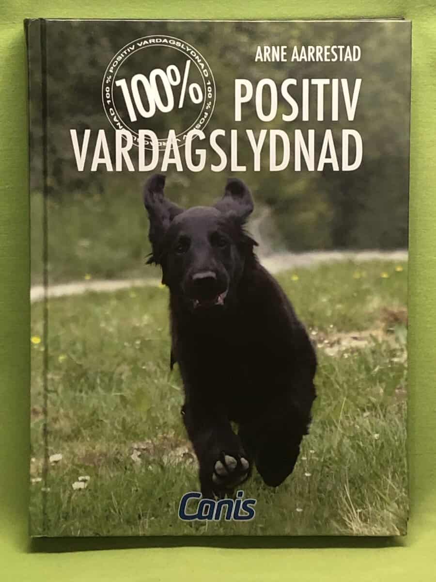 Arne Aarrestad : 100 % positiv vardagslydnad