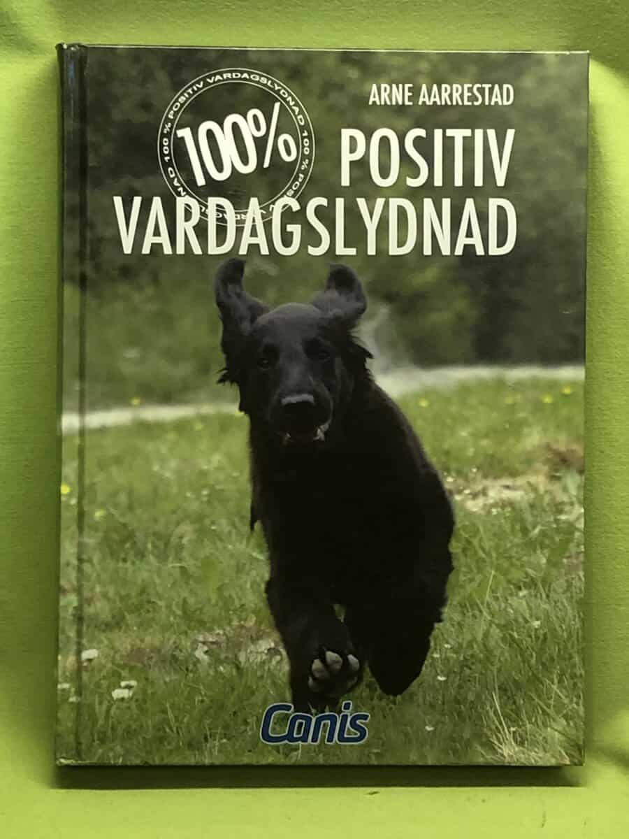 Arne Aarrestad : 100 % positiv vardagslydnad
