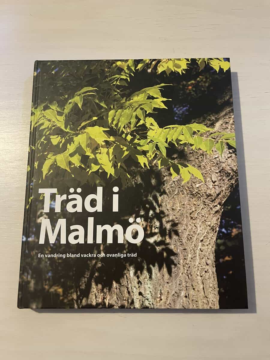 Arne Jansson : Träd i Malmö