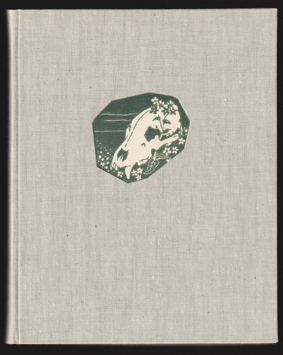 Arne Sucksdorff : Gryning
