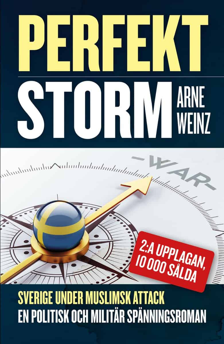 Arne Weinz : Perfekt storm