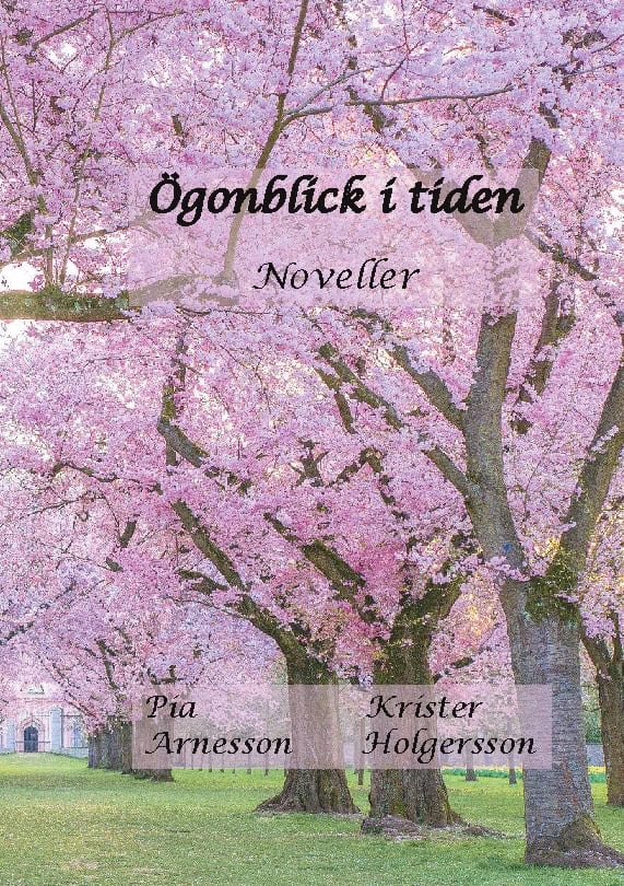 Arnesson, Pia ; Holgersson, Krister : Ögonblick i tiden : noveller