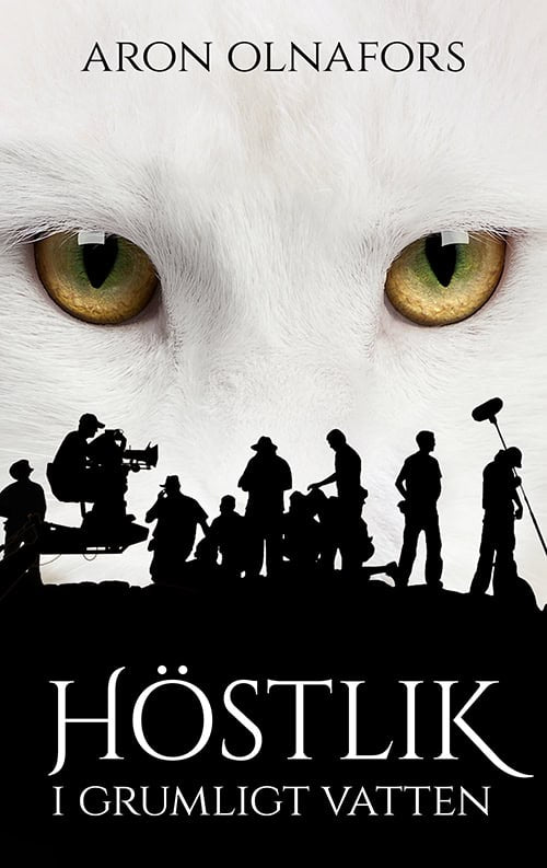 Aron Olnafors : Höstlik i grumligt vatten